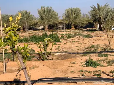 للبيع استراحة بالقواره المساحه 16000 متر على شارعين 1
