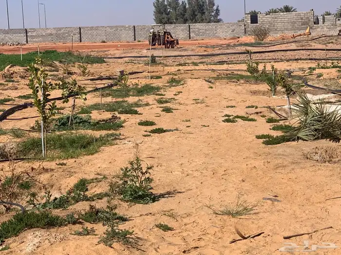 للبيع استراحة بالقواره المساحه 16000 متر على شارعين 4