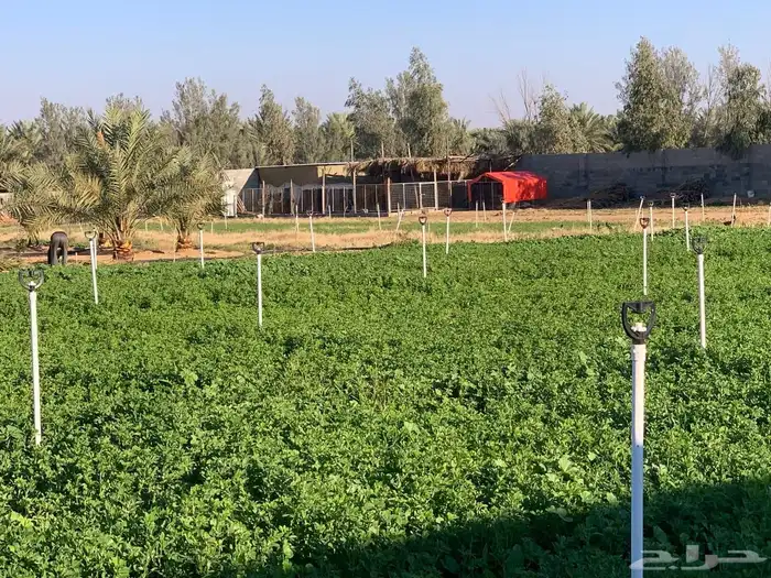 للبيع استراحة بالقواره المساحه 16000 متر على شارعين 33