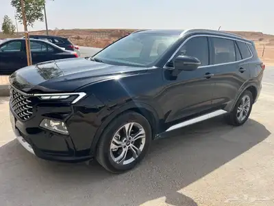 تيريتوري 2024 نص الفل 1