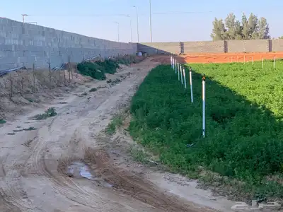للبيع استراحة بالقواره المساحه 16000 متر على شارعين 36
