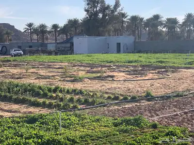 للبيع استراحة بالقواره المساحه 16000 متر على شارعين 23