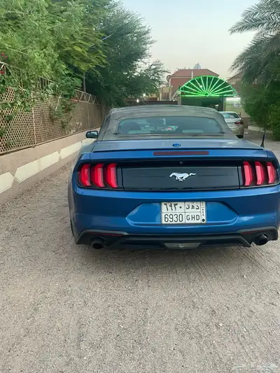 موستنج 2018 3