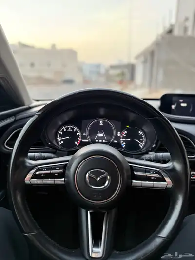 CX30 RETRO Sports EDITION 2022 16