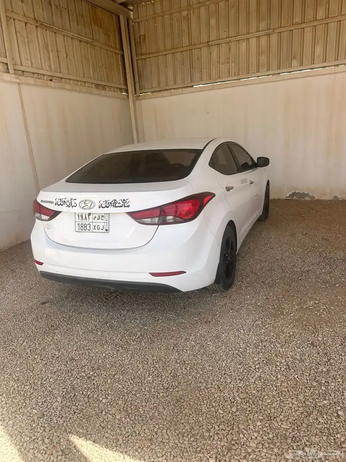 النترا 2015 13