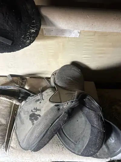 مستلزمات خيل للبيع 1