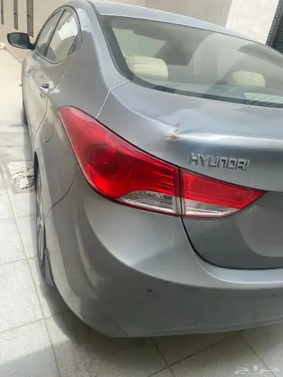 النترا 2014 فل 6