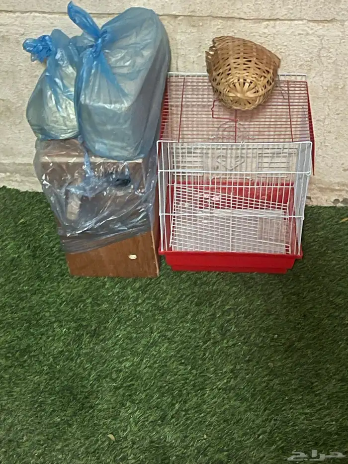 اغراض طيور منوعه 6