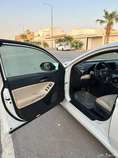 افلون 2020 14
