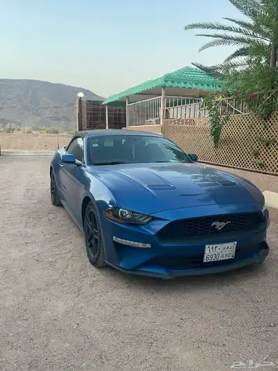 موستنج 2018 9
