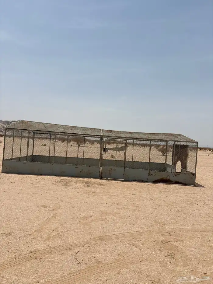 شبك مجلس 0