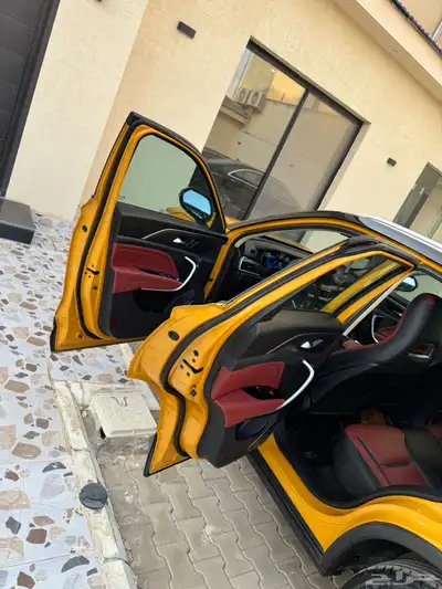 فاو 2022 5