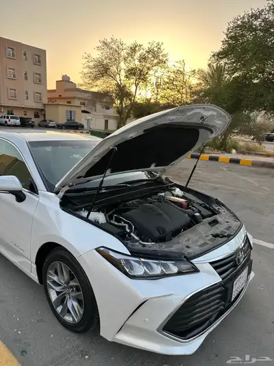 افلون 2020 24