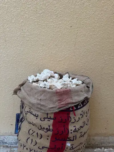 مريس طبخ 1