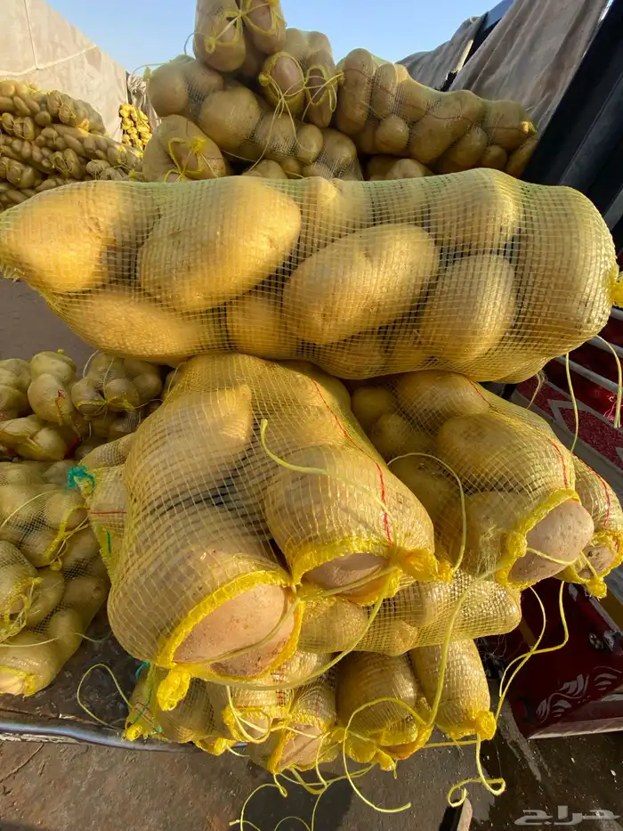 بطاطس وبصل 0