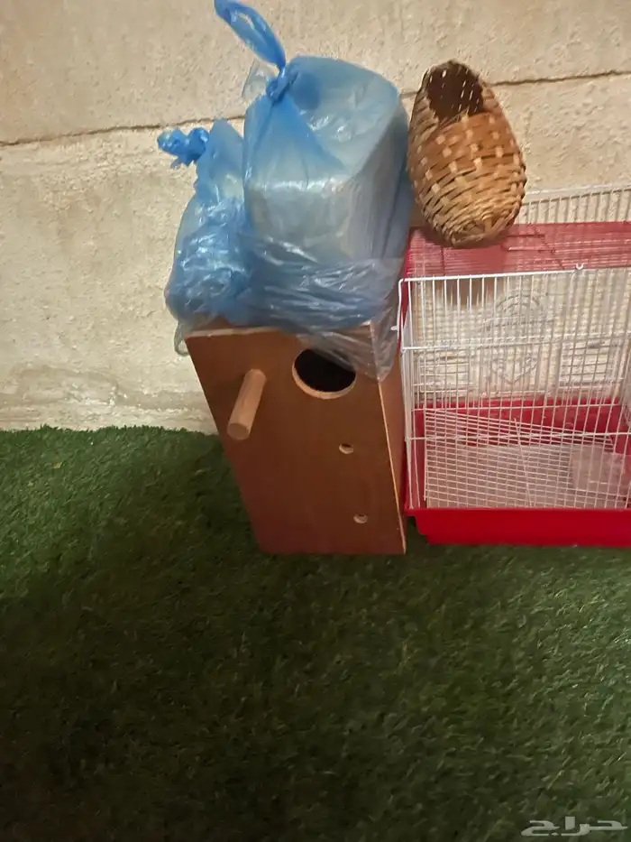 اغراض طيور منوعه 4