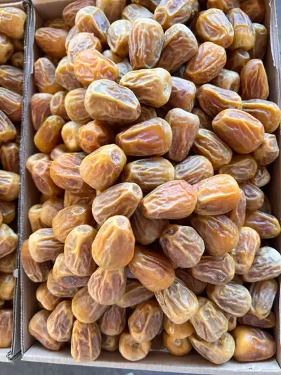 تمور القصيم 10