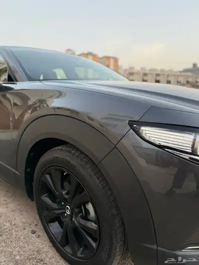 CX30 RETRO Sports EDITION 2022 7