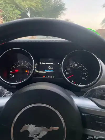 موستنج 2018 0