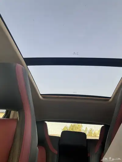فاو 2022 6