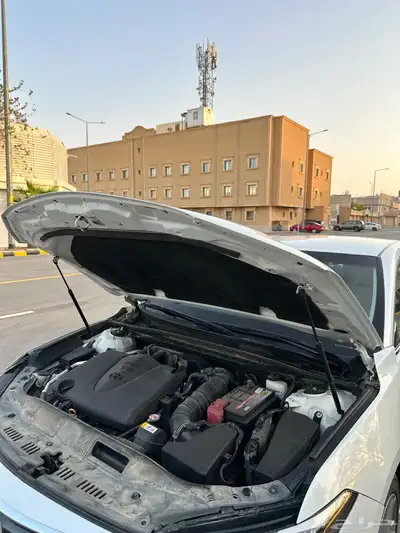 افلون 2020 25