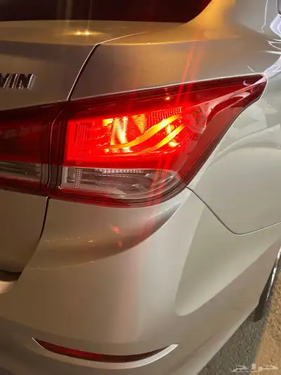 شانجان السفن 2025 15