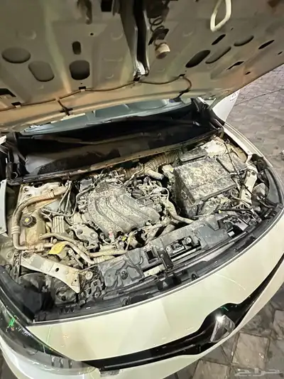 رينو فلوانس 2015 فل كامل 15
