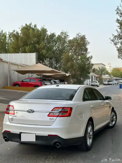 تورس نص فل لؤلؤي بدي وكاله 2019 13