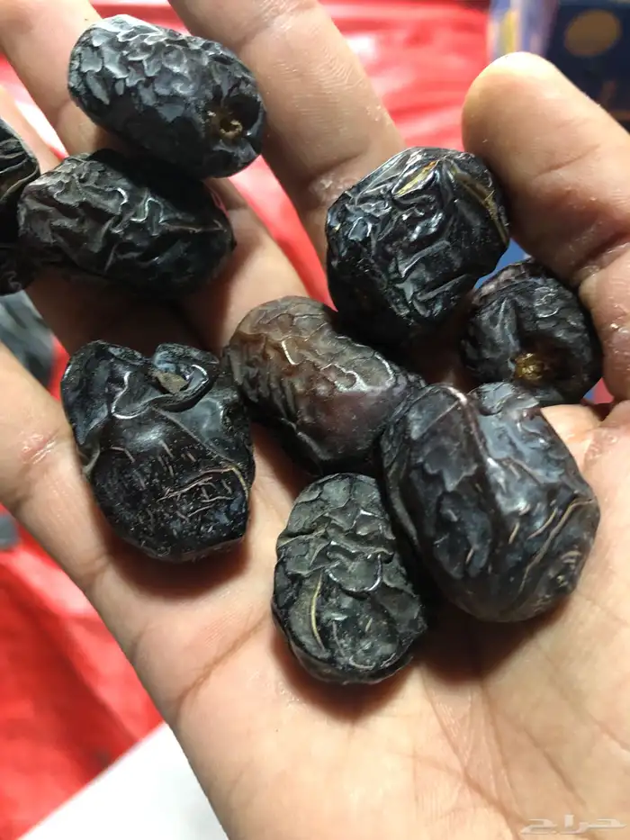 عجوا نظيفه 0