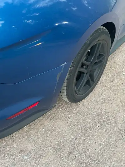 موستنج 2018 5
