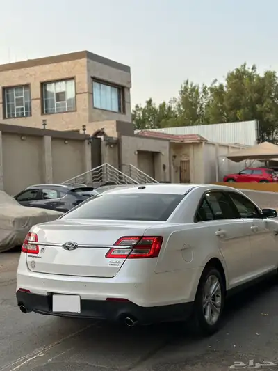 تورس نص فل لؤلؤي بدي وكاله 2019 24