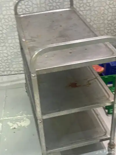 أغراض مطعم 7