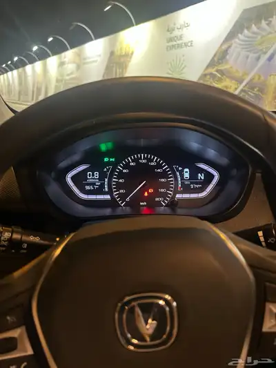 شانجان السفن 2025 9