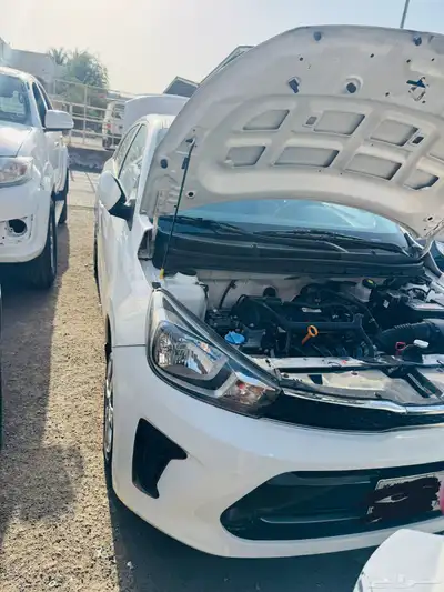 Kia pegas 2023 1