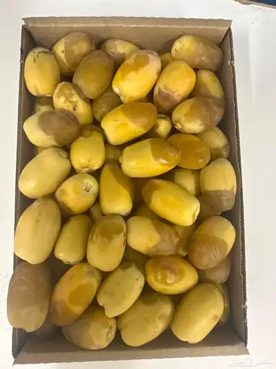 رطب إخلاص ممتاز 2