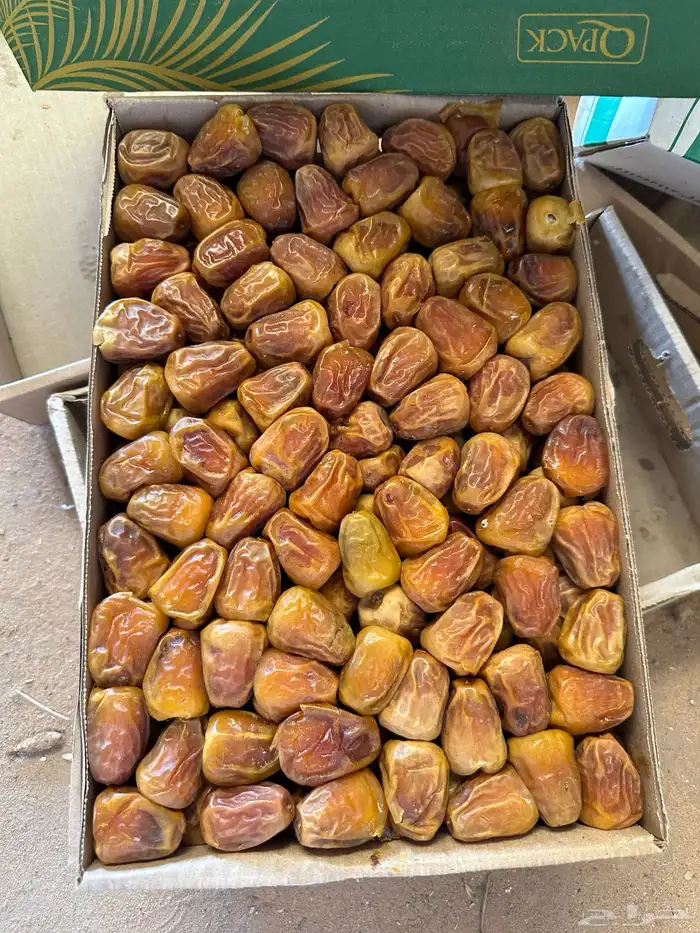 تمور كميات تصدير 1