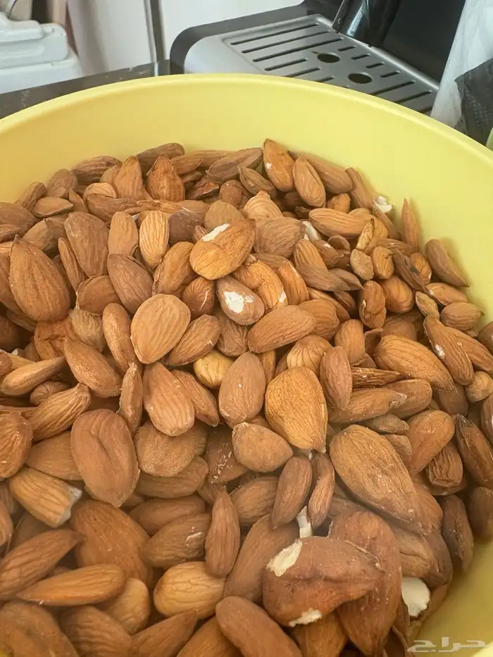 لباب لوز الباحة البلدي 0