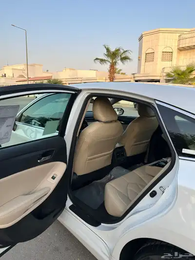 افلون 2020 17