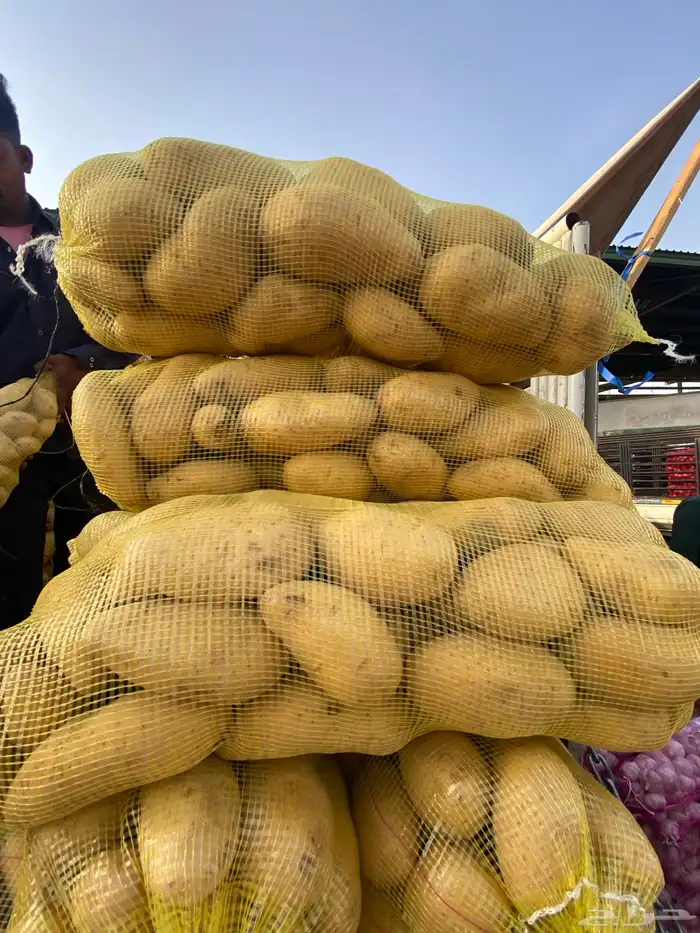 بطاطس وبصل 1