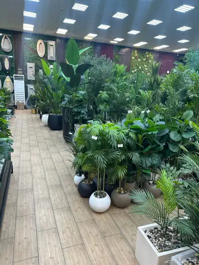 أشجار صناعية بأشكال مختلفه 0