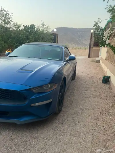 موستنج 2018 7