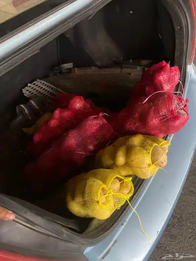 بصل وبطاطس 0