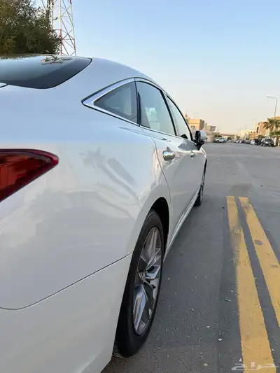 افلون 2020 12