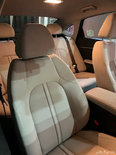 سوناتا 2024 12