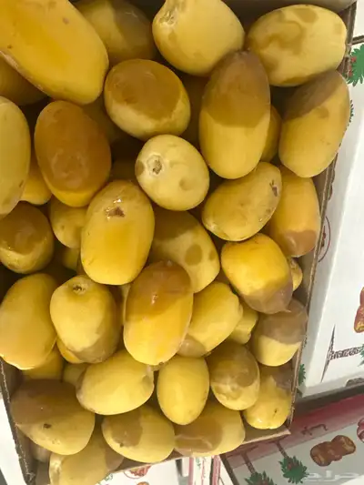 رطب إخلاص ممتاز 0