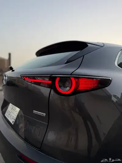 CX30 RETRO Sports EDITION 2022 5