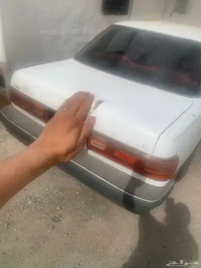 كرسيدا  التشليح 5