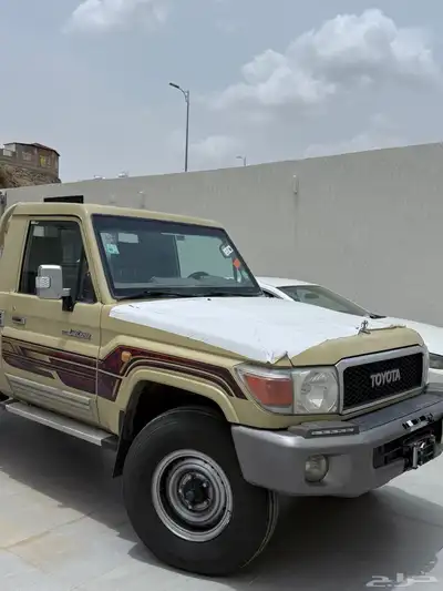 شاص 2013 1