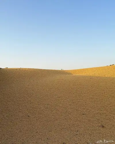 ذره صفراء فاخره 0
