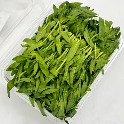ورد ونعناع المدينه عضوي 4